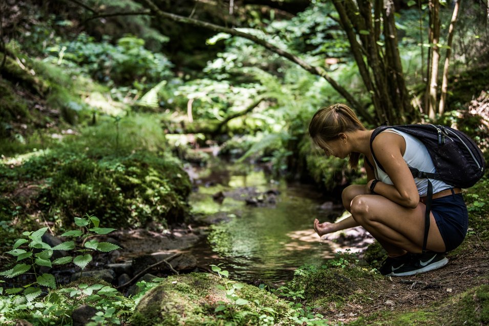 Wandern auf dem Malerweg. Foto: Tourismusverband Sächsische Schweiz/Sebastian Thiel